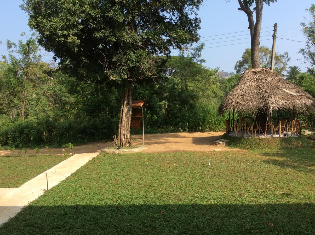 Hotel Sigiriya Rock Hide Exteriér fotografie