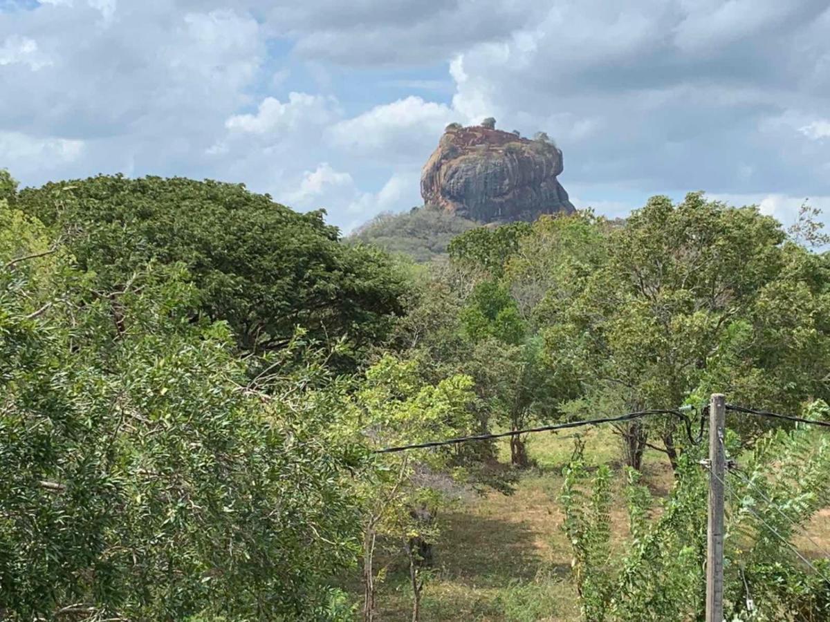 Hotel Sigiriya Rock Hide Exteriér fotografie