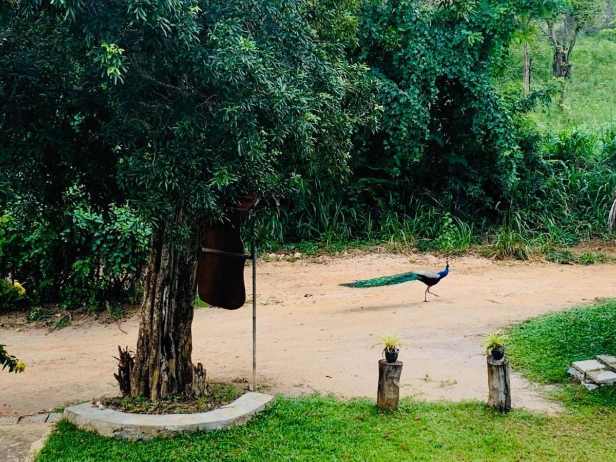 Hotel Sigiriya Rock Hide Exteriér fotografie
